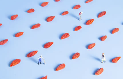 ��������轹���1